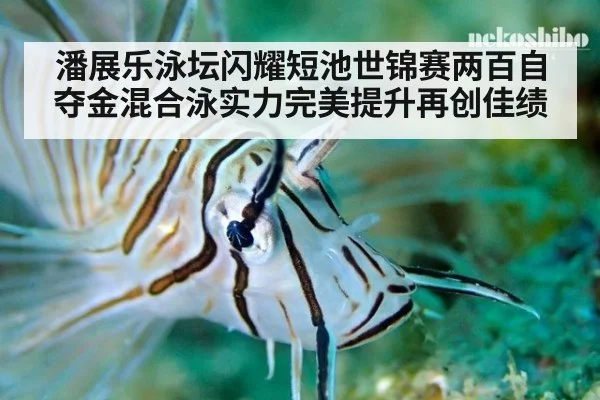 潘展乐泳坛闪耀短池世锦赛两百自夺金混合泳实力完美提升再创佳绩